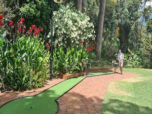 Real Tree Solutions - Arborist and tree surgeon - Perth, WA